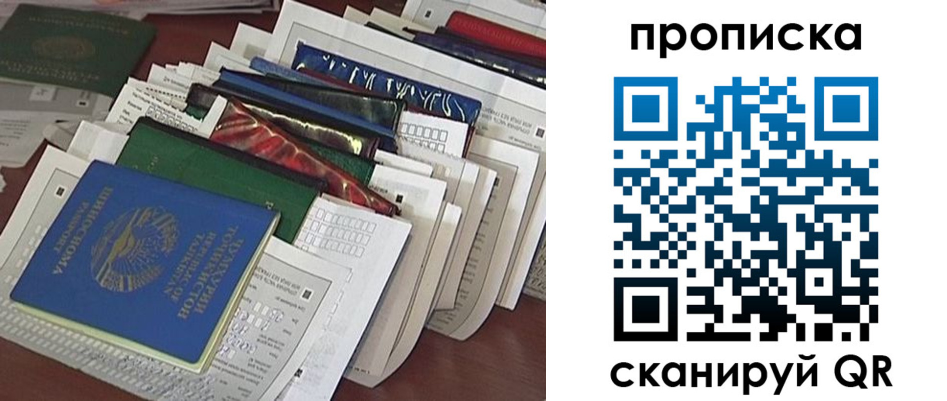 купить прописку в Курской области